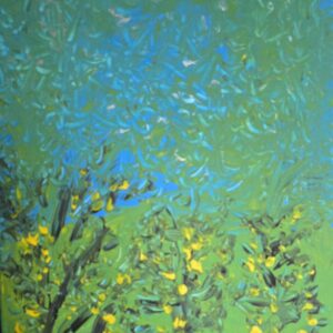 Les lumières du sous-bois