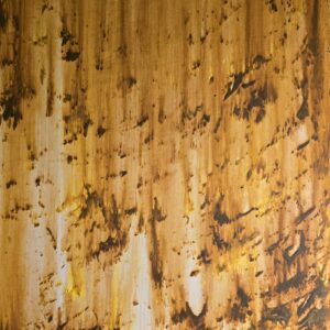 Vestiges de la Terre